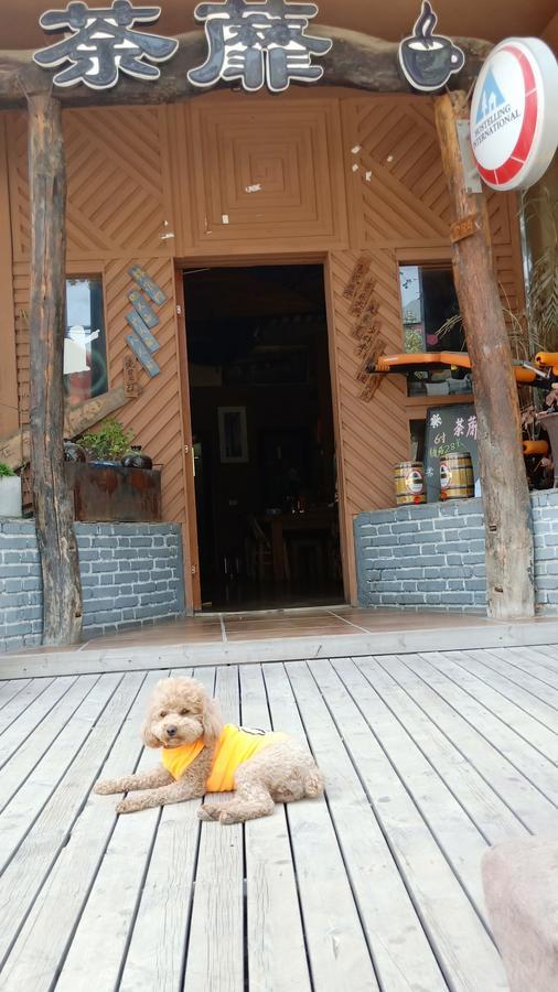 Dengfeng Climb International Youth Hostel ภายนอก รูปภาพ